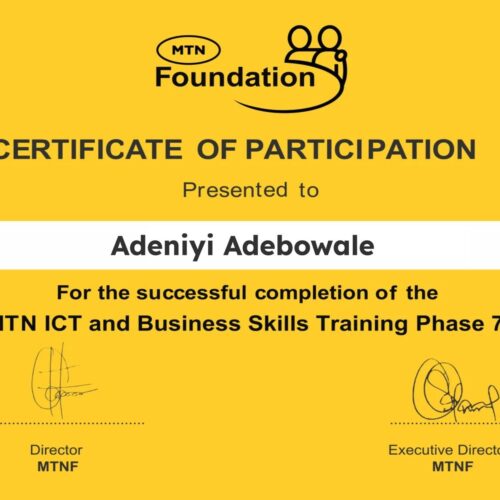 Virtual Assistant MTN Certificate